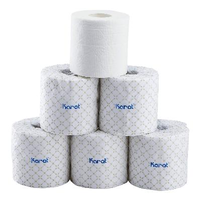 2 Ply Paper Rolls