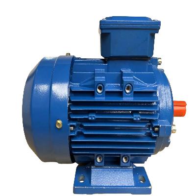 AC Induction Motor