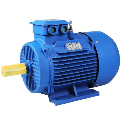 Three Phase AC Induction Motor