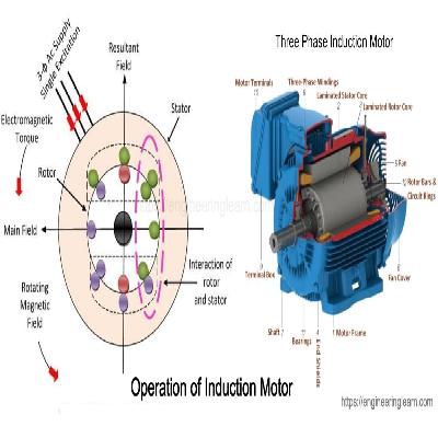 Three Phase Induction Motor