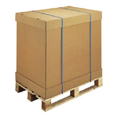 Export Carton Box