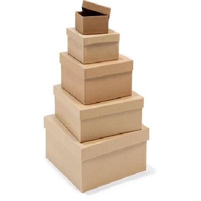 Rectangular Carton Box