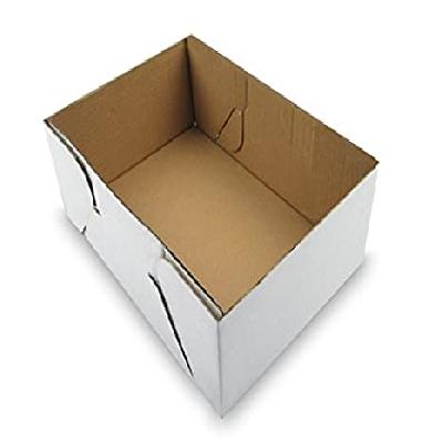 Plain Sheet Corrugated Box