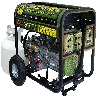 Duel Fuel Generators
