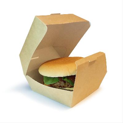 Burger Packaging Box