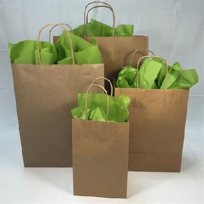 Recycling Paper Bag