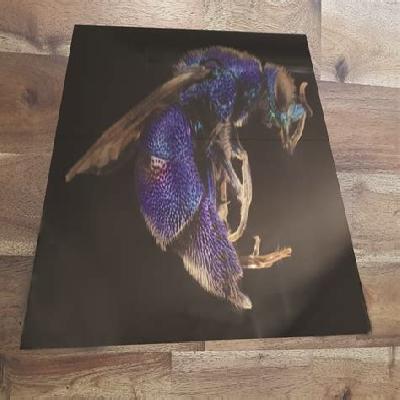 Glass Digital Printing Services