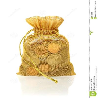 Gold Loan Document Bags