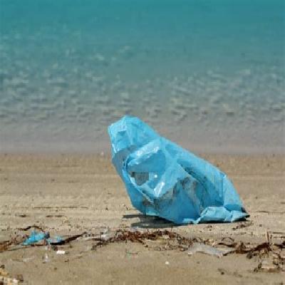 Plastic Zabal Bags