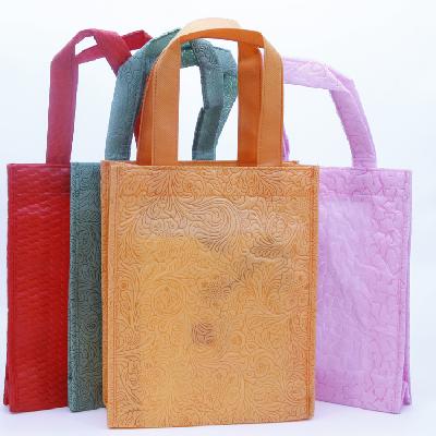 Printed Cloth Carry Bag