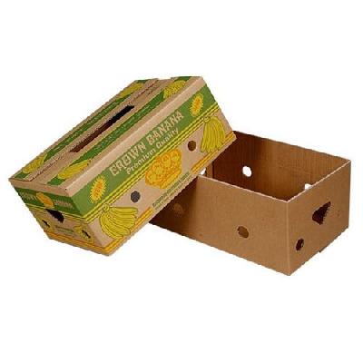 Printed Fruit Packaging Box