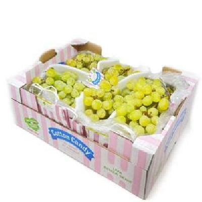 4.5 Kg Grapes Export Box
