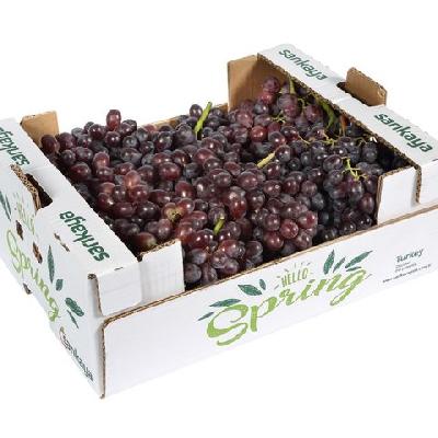 5 Kg Grapes Export Box