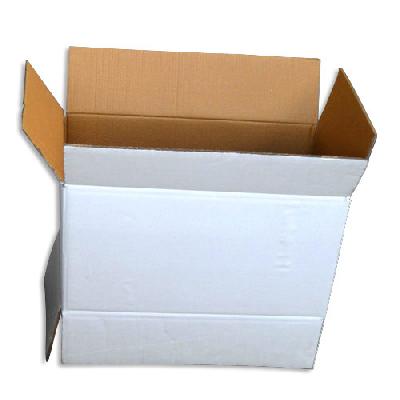 Duplex Corrugated Box