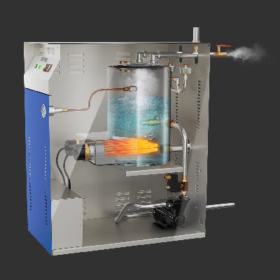 Ramsons MR 12 Electric Steam Generator
