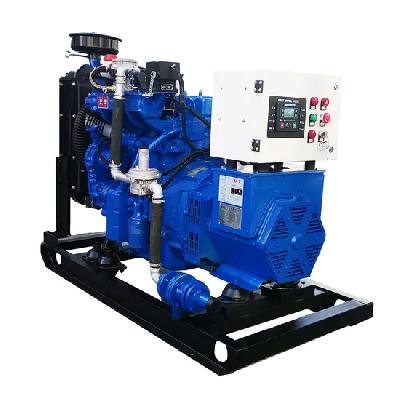 Natural Gas Generator