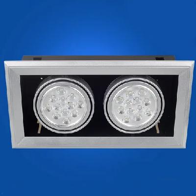 Down Light LED Luminaire