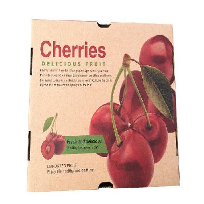 Offset Printed Corrugated Packaging Box