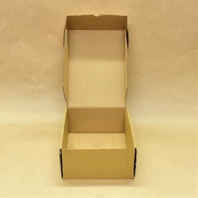 Rectangular Corrugated Shoe Packaging Box