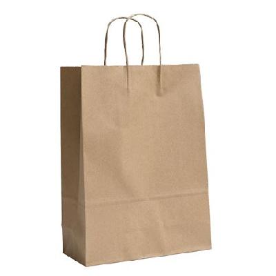 Craft Paper Carry Bag