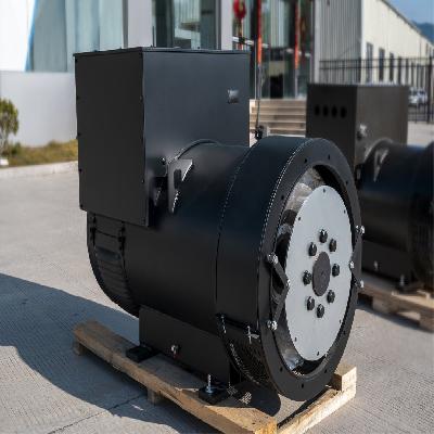Manjit Alternator Generator