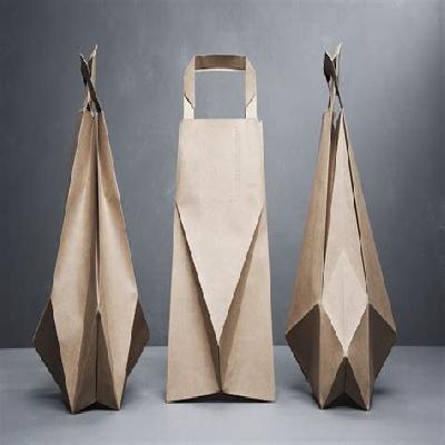Designer Paper Bag