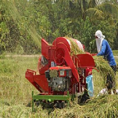 Paddy Thresher