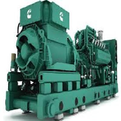 Producer Gas Engine Generator Sets