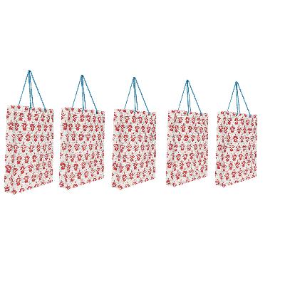 Printed Paper Hand Carry Bags