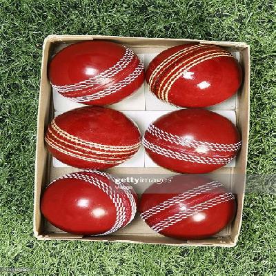 Cricket Ball Box