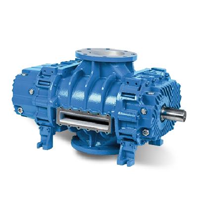 Robuschi Blowers