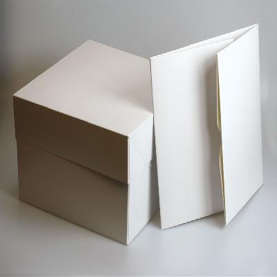 Plain White Paper Cake Box