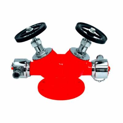 Double Outlet Landing Valve