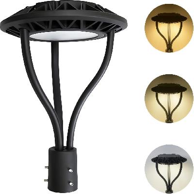 Garden Pole Light