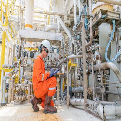 Third Party Inspection Service
