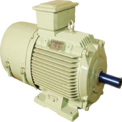 Crompton Greaves Motor