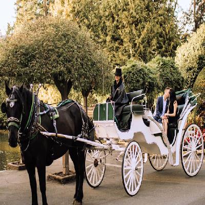 Horse Carriages