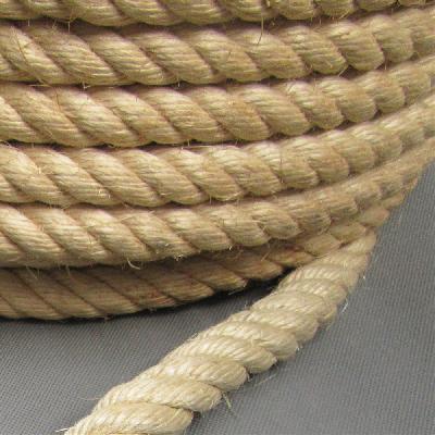 Sisal Fiber