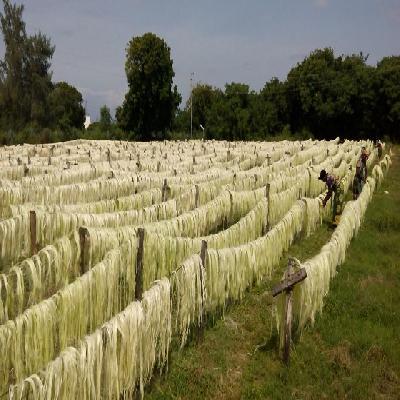 Sisal Fibre Kenya
