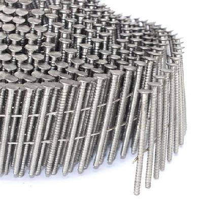 Stainless Steel Nails