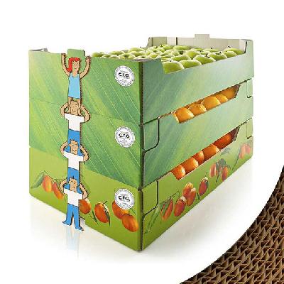 Fruit Corrugated Paper Box
