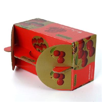 Fruit Packaging Printed Carton Box