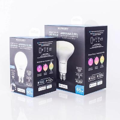 Raushan LED Bulb Box