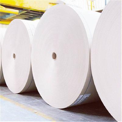 Biodegradable Coating Paper