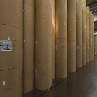 Core Board Kraft Paper 200 to 250 Ply Bond In Reels