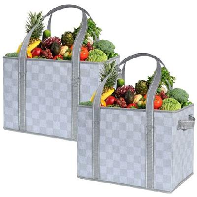 Grocery Shopping Bags