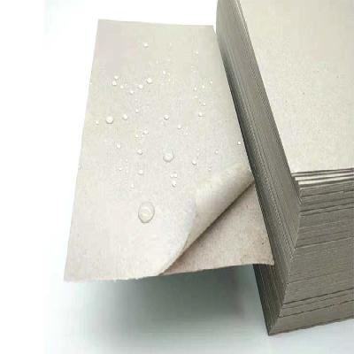 PE Coated Paper