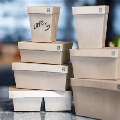 700 ML Noodles And Biryani Packing Box