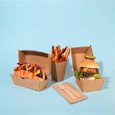 Burger Packaging Box