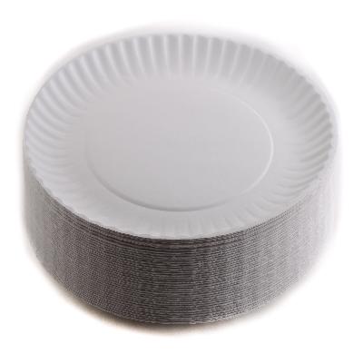 Disposable White Paper Plate